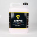 Nettoyant Plastique Intérieur